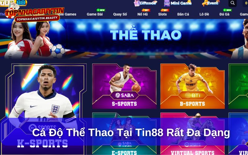 Tin88 – Nhà Cái Cá Độ Đa Dạng Và Bảo Mật Hàng Đầu 12 Cá độ thể thao đa dạng với nhiều giải đấu lớn nhỏ