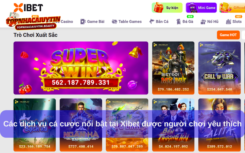 Các dịch vụ cá cược nổi bật tại Xibet được người chơi yêu thích