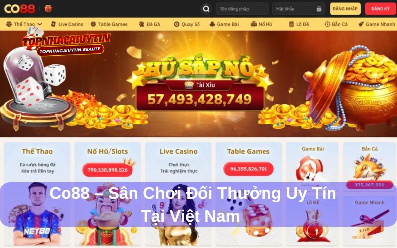 Co88 – Sân Chơi Đổi Thưởng Uy Tín Tại Việt Nam 