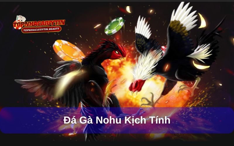 Đá Gà bùng nổ cùng hàng trăm trận chiến siêu kịch tính