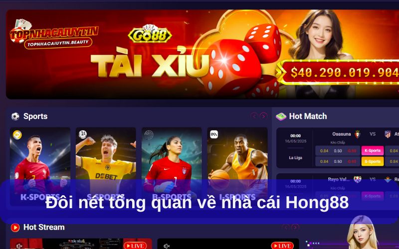 Hong88 – Nhà Cái Uy Tín, Chất Lượng Vươn Tầm Khu Vực Châu Á 5 Đôi nét tổng quan về nhà cái Hong88