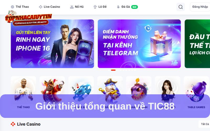 TIC88 – Nhà Cái Uy Tín Vượt Trên Mọi Trải Nghiệm 5 Giới thiệu tổng quan về TIC88