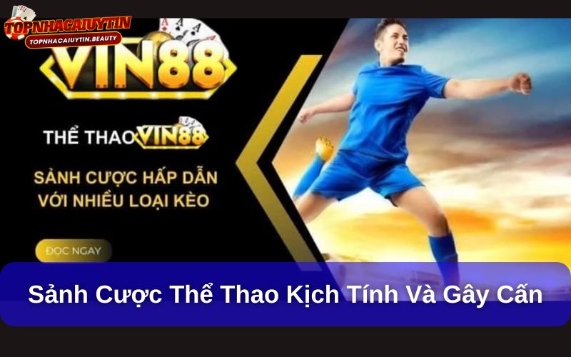 Khám Phá Sân Chơi Vin88 Hấp Dẫn Dành Cho Cược Thủ 8 Sảnh cược thể thao kịch tính và gây cấn