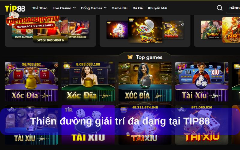 TIP88 - Trải Nghiệm Cá Cược Đa Dạng, Dễ Thắng, Thưởng Lớn 8 Thiên đường giải trí đa dạng tại TIP88