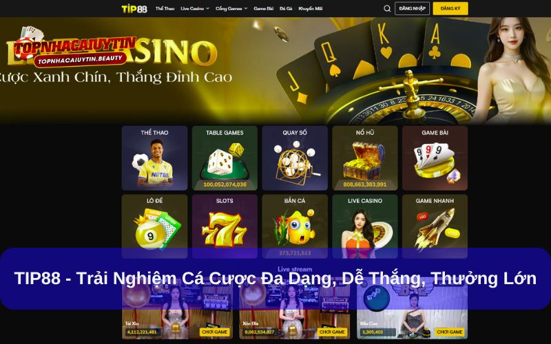 TIP88 - Trải Nghiệm Cá Cược Đa Dạng, Dễ Thắng, Thưởng Lớn