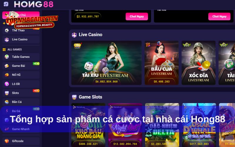 Hong88 – Nhà Cái Uy Tín, Chất Lượng Vươn Tầm Khu Vực Châu Á 7 Tổng hợp sản phẩm cá cược tại nhà cái Hong88