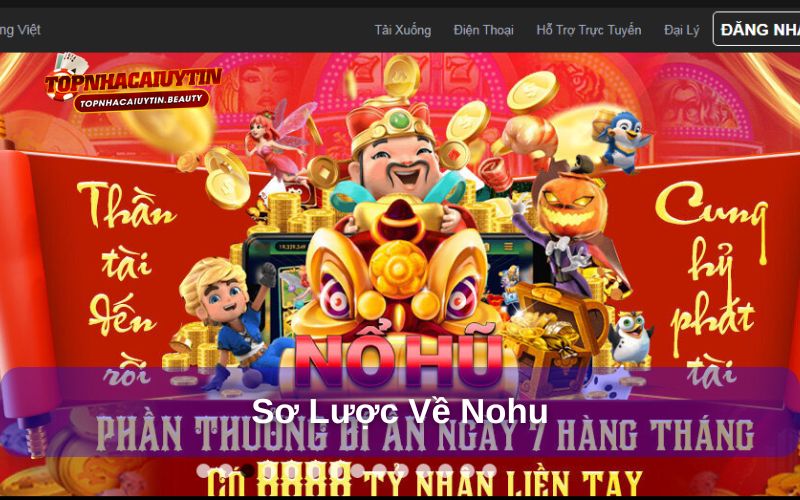 Tổng hợp vài điều về Nohu dành cho người mới