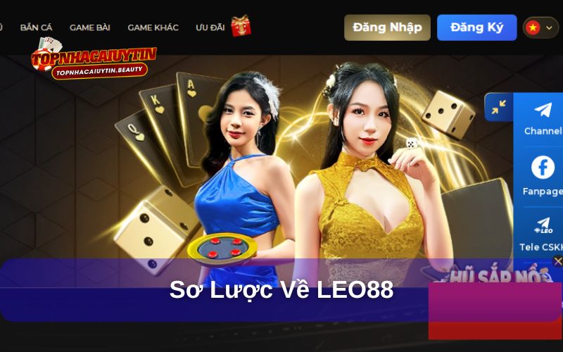 LEO88 - Địa Chỉ Giải Trí Chất Lượng Được Nhiều Người Thích 7 LEO88 cùng với một số thông tin giới thiệu tổng quan