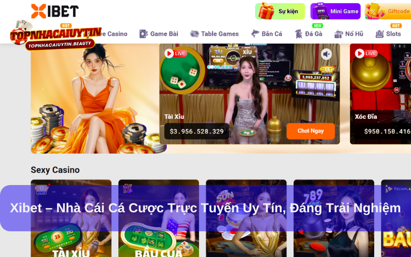 Xibet – Nhà Cái Cá Cược Trực Tuyến Uy Tín, Đáng Trải Nghiệm